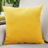Housse De Coussin Velours 30x50cm Jaune
