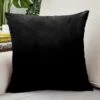 Housse De Coussin Velours 30x50cm Noir