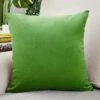 Housse De Coussin Velours 40x40cm Vert